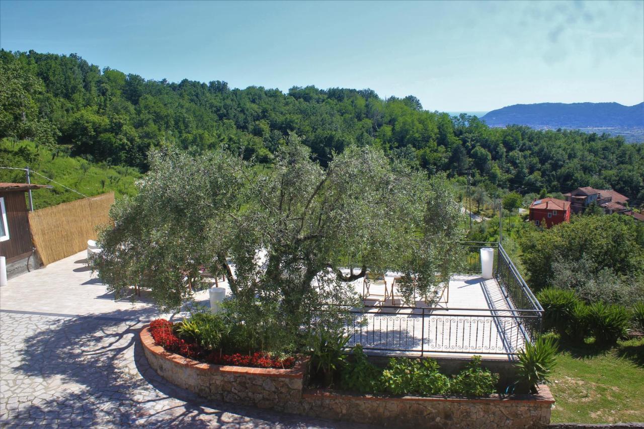 Fattoria Cristina Bilo Rosa Villa Castelnuovo Magra Kültér fotó