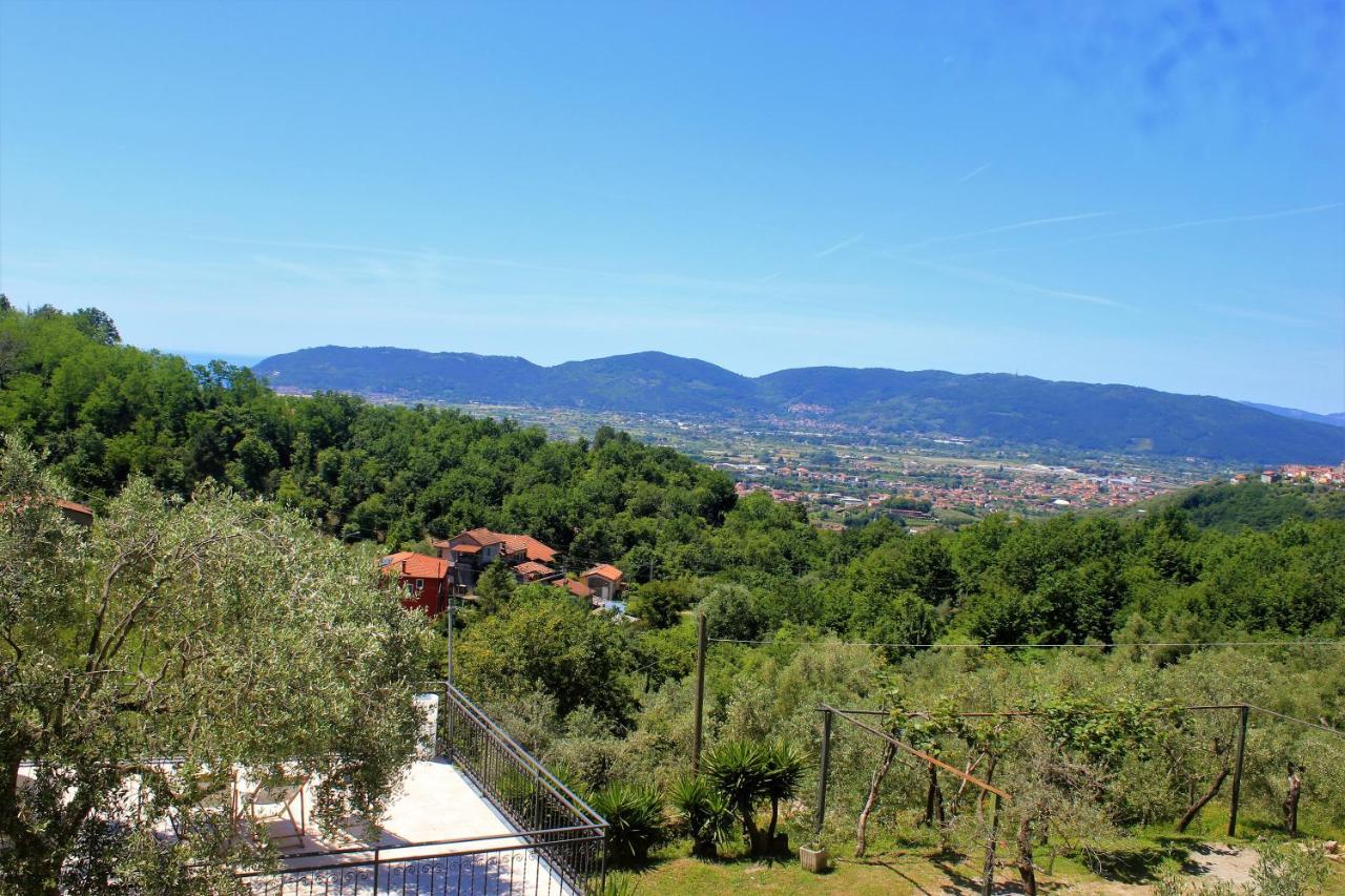 Fattoria Cristina Bilo Rosa Villa Castelnuovo Magra Kültér fotó