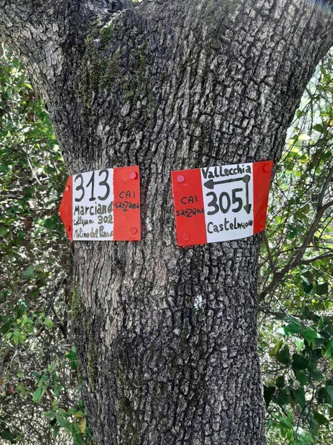 Fattoria Cristina Bilo Rosa Villa Castelnuovo Magra Kültér fotó